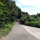 강정동-8 이미지