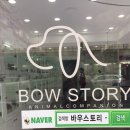 바우스토리 이미지