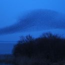 오리와사람들 이미지