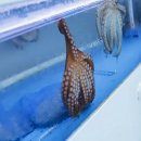 군산해물탕 이미지