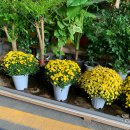 충주큰길약국 이미지