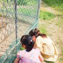 푸름농장2 이미지