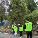 두모1리 이미지