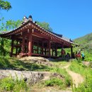 구미정 Daum카페
