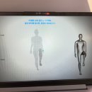 더본필라테스 | 응암동필라테스/신사동필라테스 더본필라테스 신사점 김채영 원장님 1:1 레슨 후기