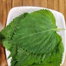 명태어장 쭈갑골 평택점 이미지