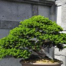 제주아트랜드 이미지