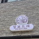 보드레 애견미용실 이미지