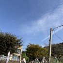 대곶남로 | 김포 당일캠핑 록키캠핑바베큐 내돈내산 후기