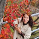 평화동주민센터 이미지