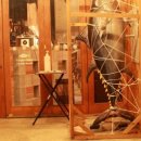 마구로준 이미지