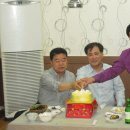 둥지생오리 이미지