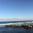 영덕청어과메기영어조합 이미지