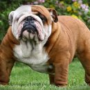 화창한병원 이미지