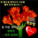 좋은 인연으로 지내고 싶어요 이미지