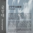 금장대 (형산강팔경)와 석장동 암각화 (경상북도 기념물) 이미지