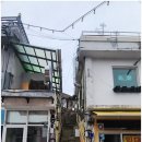 육림개발 이미지