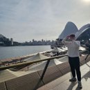 오페라 속 문화투어 Go | 호주 시드니 여행 "오페라하우스" 내부 포토존 야경 투어