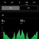 진남체육관길R | [2026 여수마라톤 하프 후기] 3대 고난이도 마라톤 지옥 업힐 경험담 (1월 날씨/오션뷰/떡국)