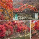 철암초등학교 | 태백 철암단풍군락지 11월 방문 후기 (태백 가볼만한곳 가을)