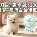 청구로 | 강아지 슬개골 수술비 200만원 펫보험 청구로 가슴 쓸어내린 후기