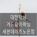 세븐노은 이미지