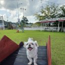 무프스 유치원 이미지