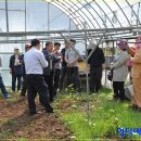 맥반골농원 이미지