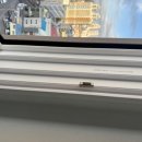 춘의이스트힐 이미지