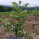 선행농원 이미지