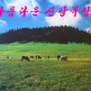 신대륙목장 이미지