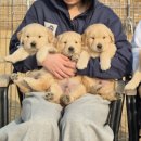 쿨스타스 이미지