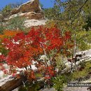 10/23 제453차 설악산 서북능선 십이선녀탕 계곡드레킹(단풍산행) / 강원 인재 이미지