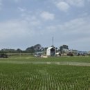 몽야 338 이미지