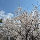 광장75호 이미지