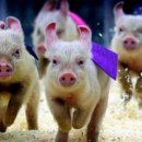 성경만두요리전문점 이미지