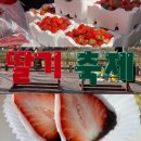 비아제3어린이공원(조형) | 논산딸기축제 후기 주말 방문 꿀팁 (오픈런, 주차장 총정리)