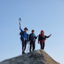 코지1 Daum카페