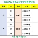 안녕하세요 제주도 감자 필요하신분 주문받습니다 이미지