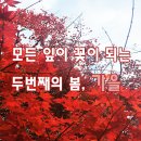 투썸플레이스 일광신도시점 | 모든 잎이 꽃이 되는 두번째의 봄, 가을 주말 나들이(ft.일광 해담원)