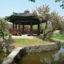 면천군자정 이미지