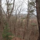 춘천서인병원 이미지