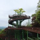 제176회 정기산행 (충북 보은 속리산, 말티재 꼬부랑길, 11월 16일 일요일) 이미지