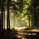 노화방지를 위한 근력운동,스트레칭 이미지