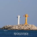 더큰여행주 이미지