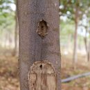 박종철농장 이미지