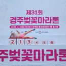 [러닝]첫 하프 마라톤 후기(ft. 경주벚꽃마라톤)