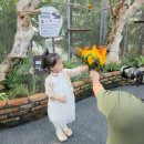 가을여행 | 가평 '베고니아새정원' - 꽃과 새들의 천국! 아이와 함께한 환상적인 가을 여행 후기!