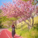 우슬경기장 내 이미지