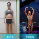 최은주 카카오 검색결과